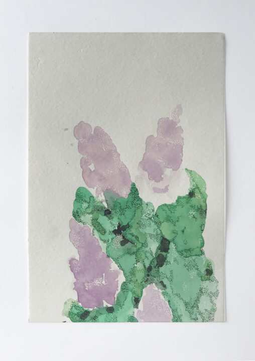 Painting of lilacs on a white background.