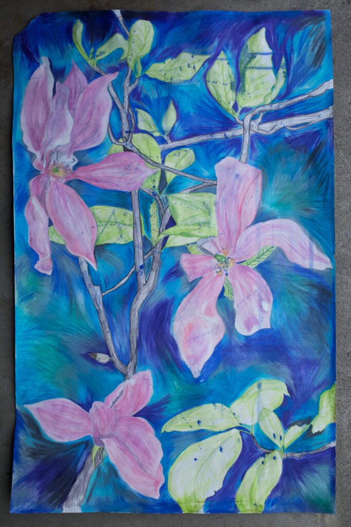Large drawing of pink magnolia flowers.