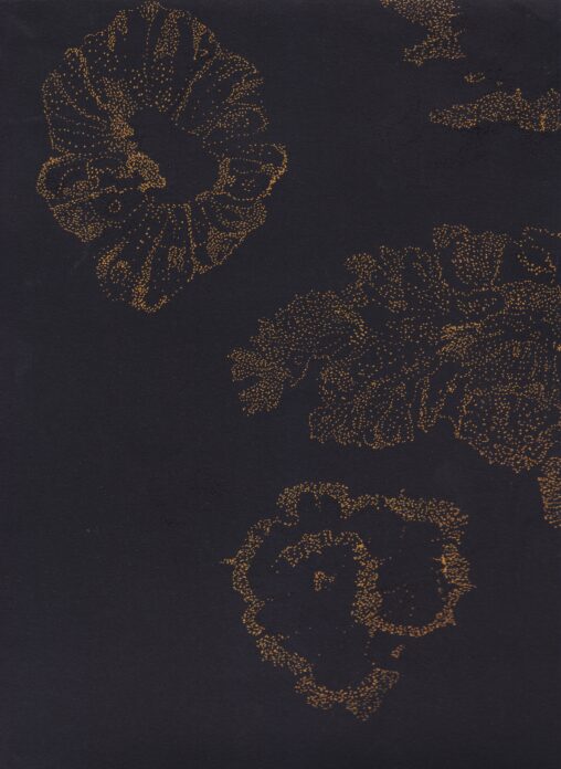 A pointillism drawing of lichen forms on black paper.